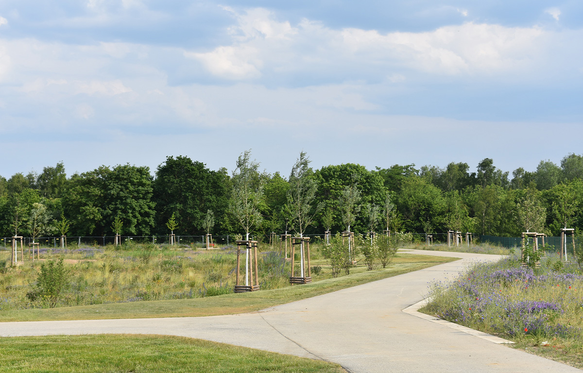 Einsteinpark 1200x768